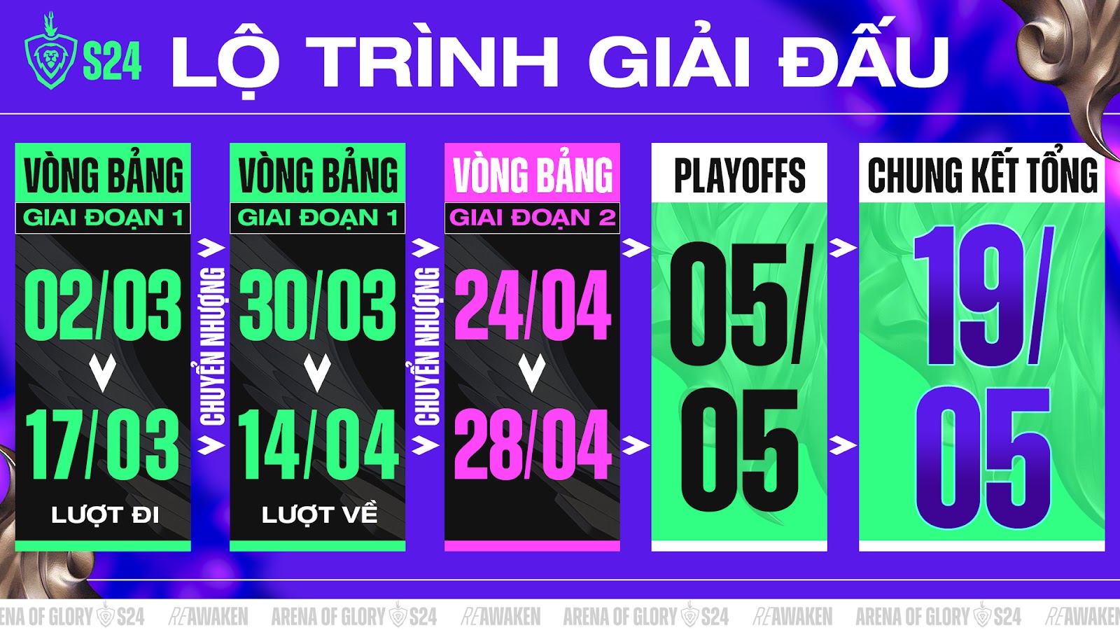 Lịch sử và vị thế của đội tuyển