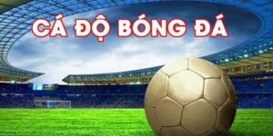 Tham gia cá cược thể thao Mana88